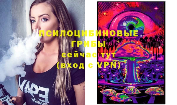 ешки Алексин