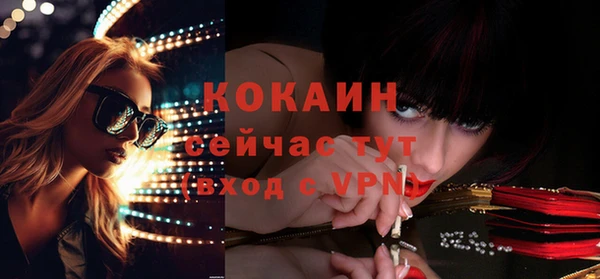 мяу мяу мука Алзамай