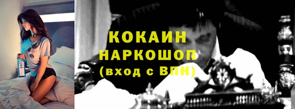 ешки Алексин