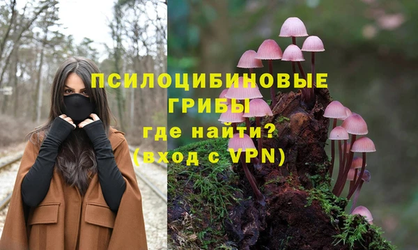 ECSTASY Алексеевка