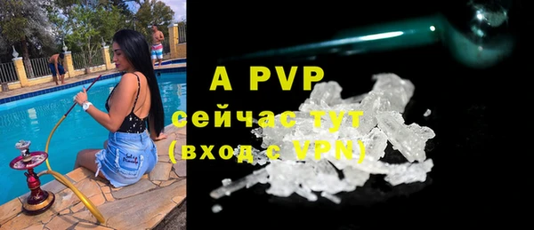 ешки Алексин